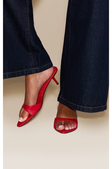Red Pu Point Toe Thin Strap Low Stiletto Heeled Mules