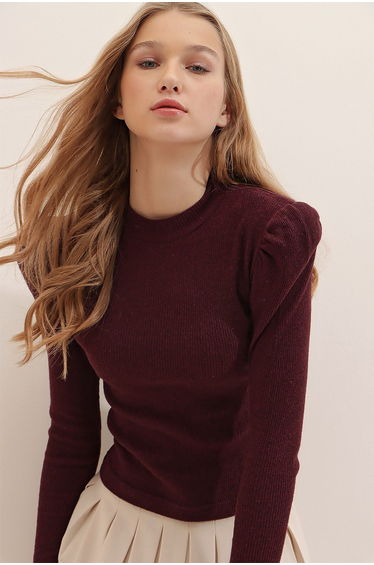 Women's Claret Red Princess Sleeve Half Turtleneck Crop Top with Collar
