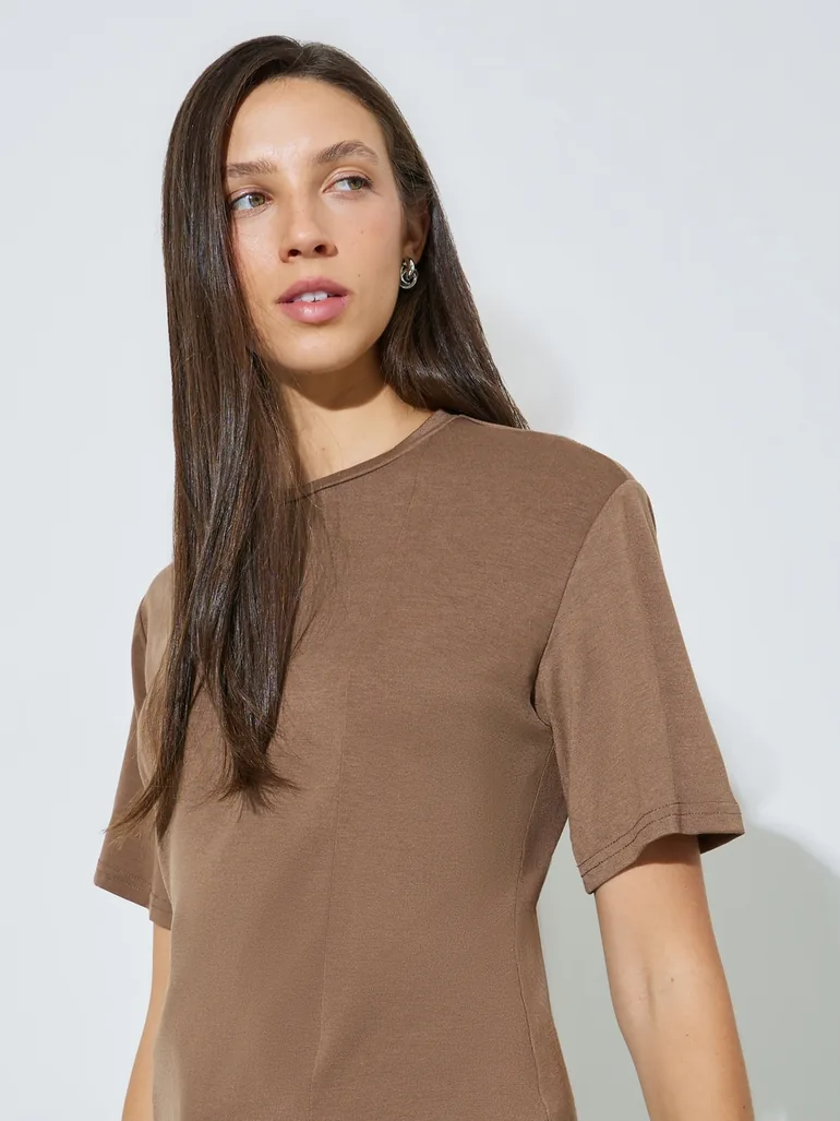 Brown Regular Fit Solid Round Neck T-Shirt - 1