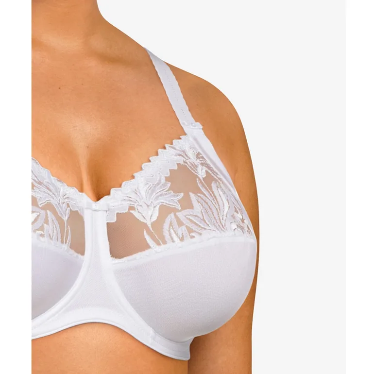 Amazone Full Cup Bra - 3