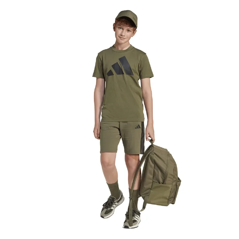 Boy's adidas Junior Essentials Shorts in Green