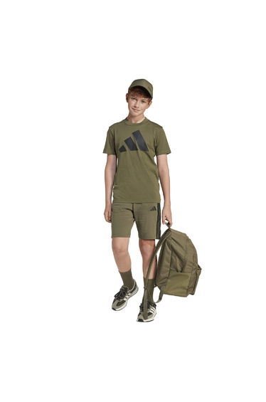 Boy's adidas Junior Essentials Shorts in Green