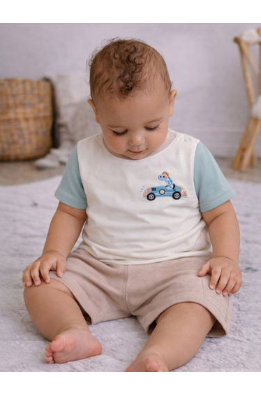 Baby Boys Graphic T-Shirt and Shorts Set