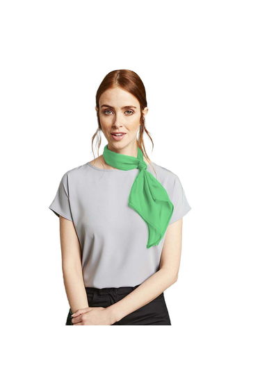 Premier Ladies/Womens Work Chiffon Formal Scarf - Apple
