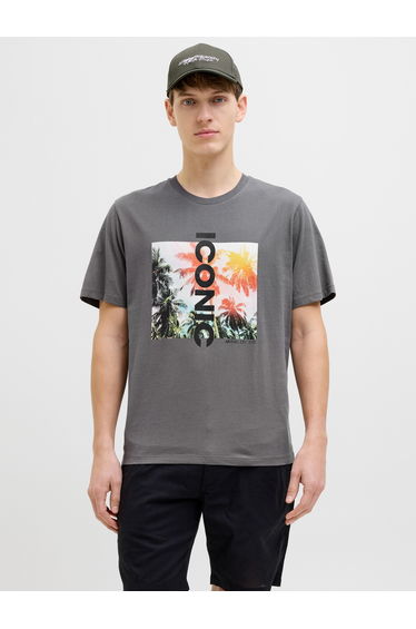 Graphic Print Crew Neck Regular Fit T-Shirt