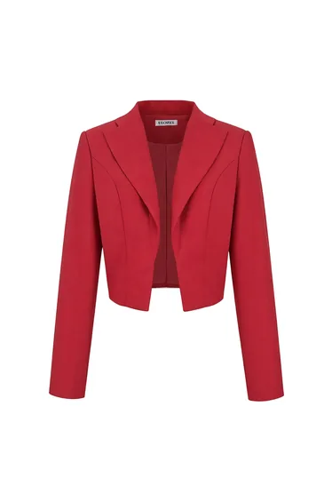 Long Sleeves Skinny Solid Color Notched Collar Blazer Outerwear