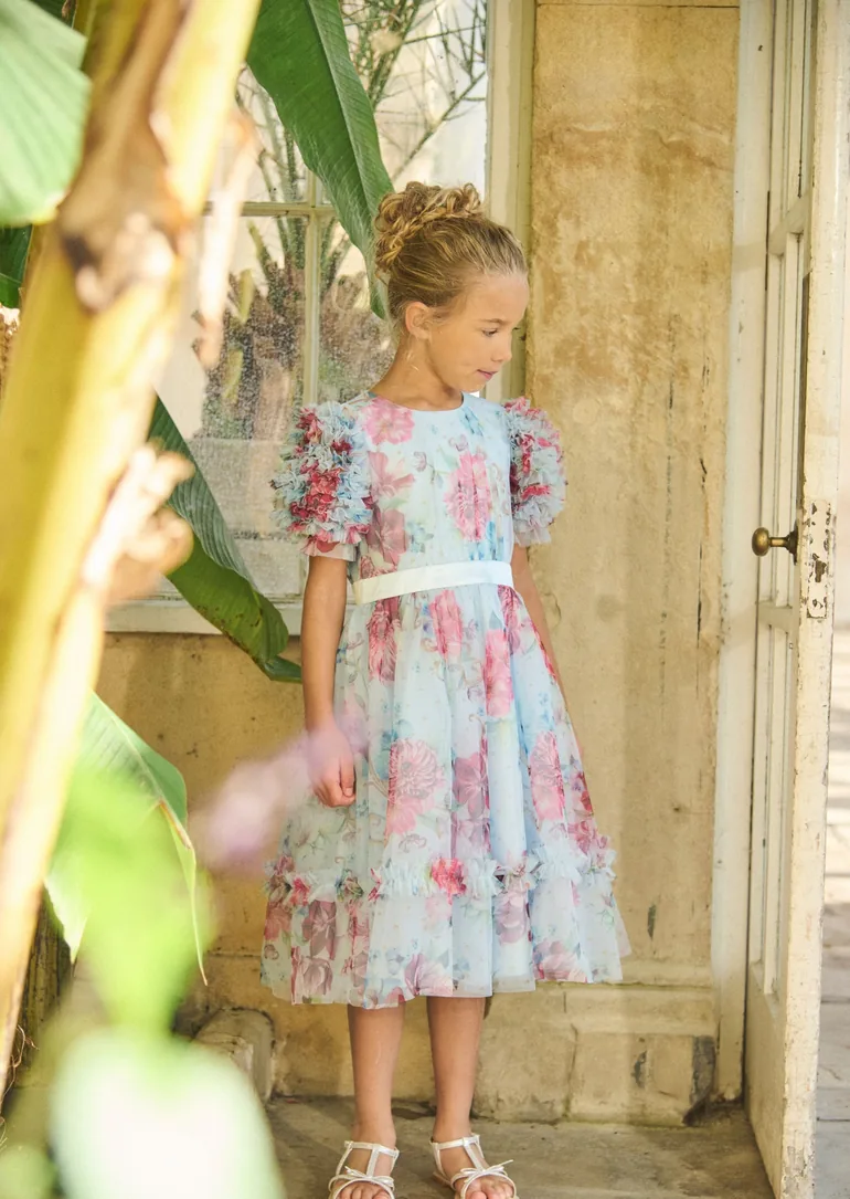 Florence Blue Ruffle Sleeve Mesh Dress - Blue - 7