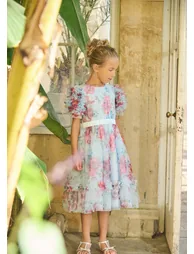 Florence Blue Ruffle Sleeve Mesh Dress - Blue - 7