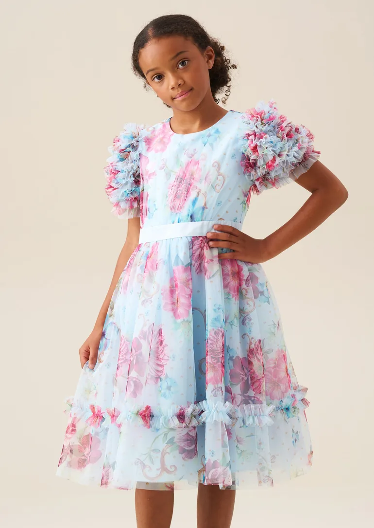 Florence Blue Ruffle Sleeve Mesh Dress - Blue - 1