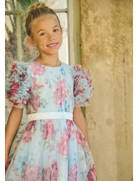 Florence Blue Ruffle Sleeve Mesh Dress - Blue - 5