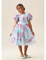 Florence Blue Ruffle Sleeve Mesh Dress - Blue