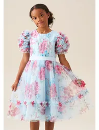 Florence Blue Ruffle Sleeve Mesh Dress - Blue - 3