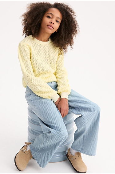 Striped Wide Leg Trousers