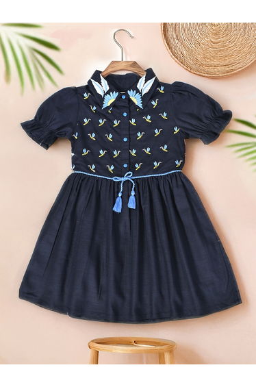 Embroidered Puff Sleeve Knee-Length Dress