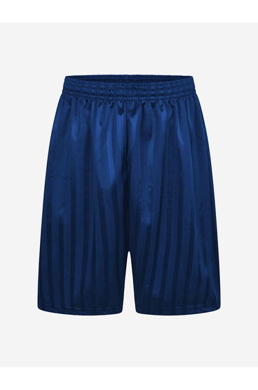 Zeco Kids School Shadow Stripe Shorts in Blue