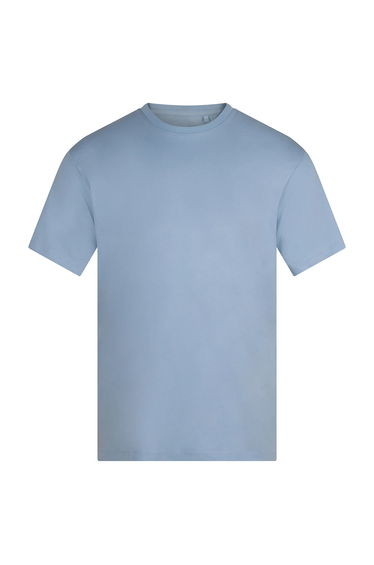 Anthem Unisex Adult Organic Midweight T-Shirt - Light Blue