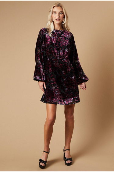 Devore Long Sleeve Mini Dress