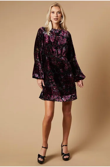 Devore Long Sleeve Mini Dress