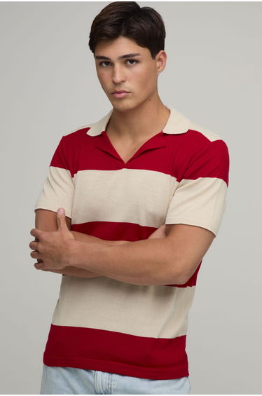 Regular Fit Revere Striped Knitted Polo - red