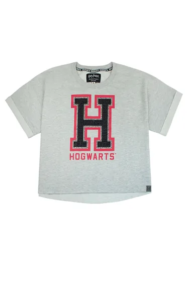 Harry Potter Womens/Ladies Hogwarts Alumni Cropped T-Shirt