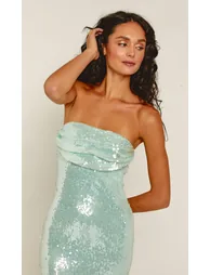 Mint Sequin Ruched Bust Maxi Dress - 1