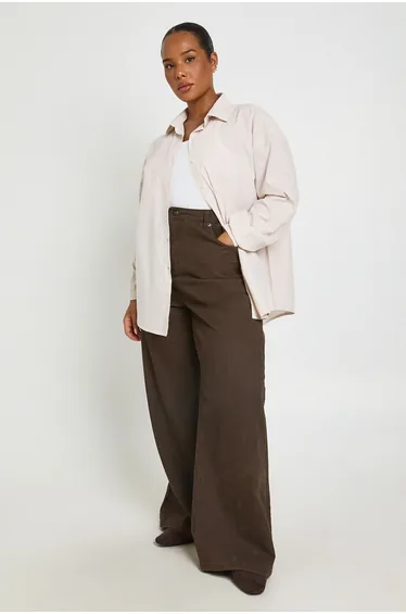Plus Stripe Poplin Oversized Shirt - beige