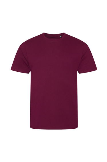 Ecologie Mens Organic Cascades T-Shirt - Burgundy