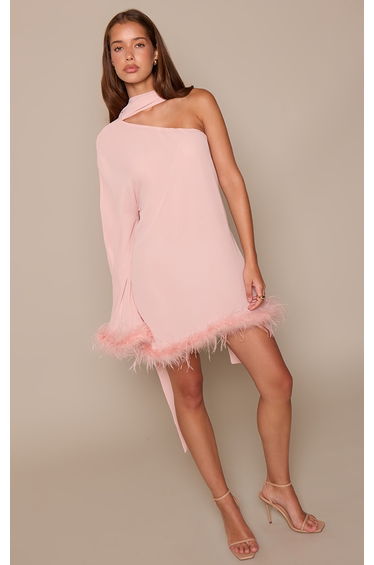 Baby Pink Chiffon One Shoulder Feather Detail Shift Dress