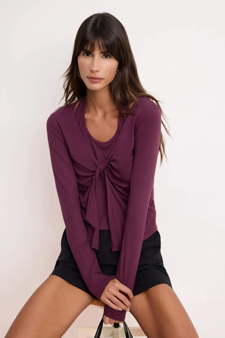 Plum Fitted/V-Fitted V-Neck Long Sleeve Soft Knitted Blouse - 1