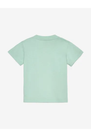 Palm Angels Baby Boys Spray Bear T-Shirt in Green