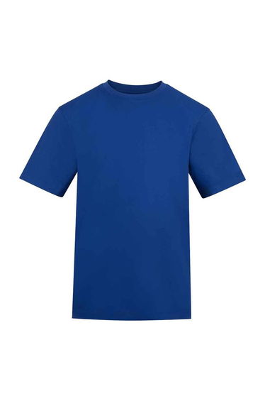 Awdis Unisex Adult Cotton T-Shirt - Royal Blue