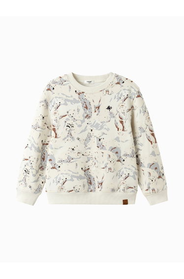 Boys' Printed Sweatshirt