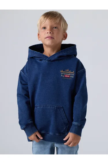 Levi's Boys Legendary Hoodie in Blue
