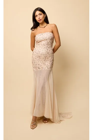 Harlow Nude Mesh Train Embellished Maxi Dress