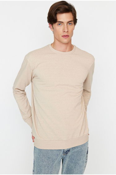 Beige Regular/Normal Cut Basic Sweatshirt