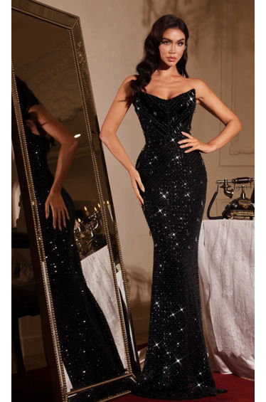 Firmina Strapless Crystal Maxi Dress