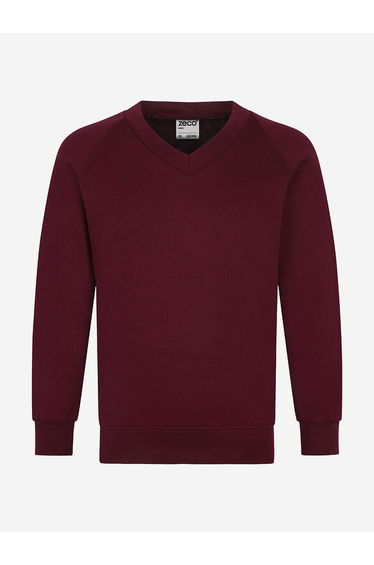 Zeco Kids School V-Neck Sweatshirt in Purple