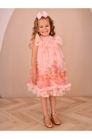 Angels Face Girls Dominique Roses Border Print Dress in Pink