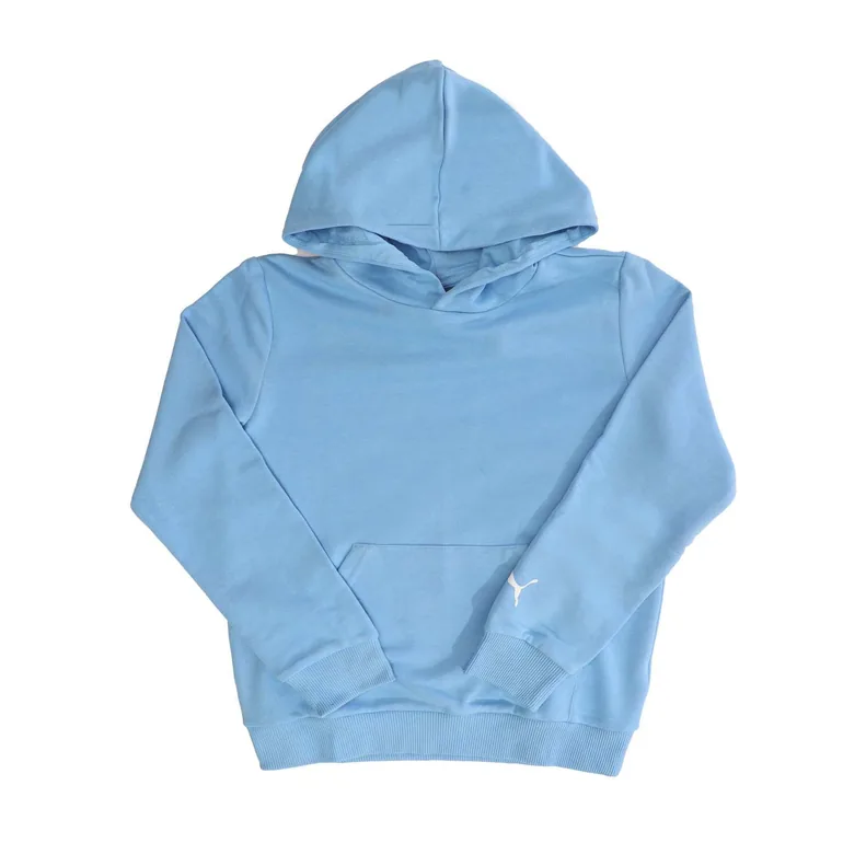 Boy's Puma Juniors Fanwear Hoodie in Blue