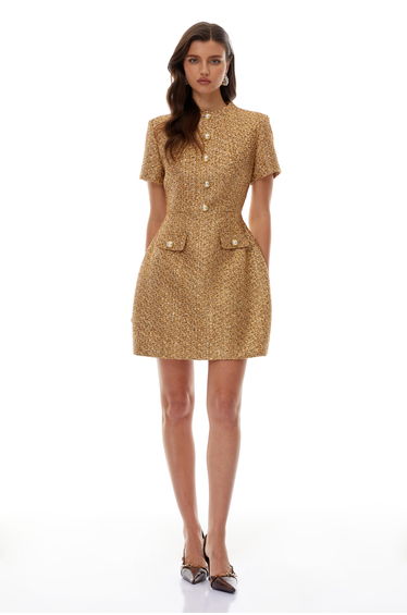 Arna Gold Round Neck Tweed Mini Dress