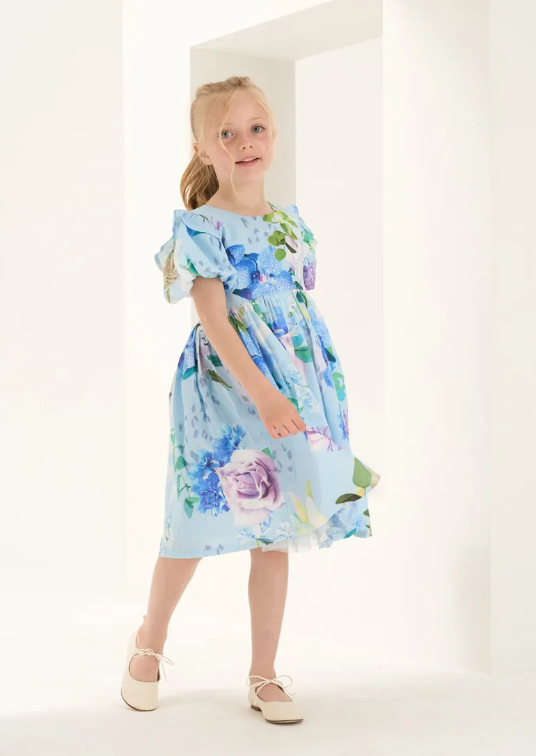 Aria Satin Print Dress