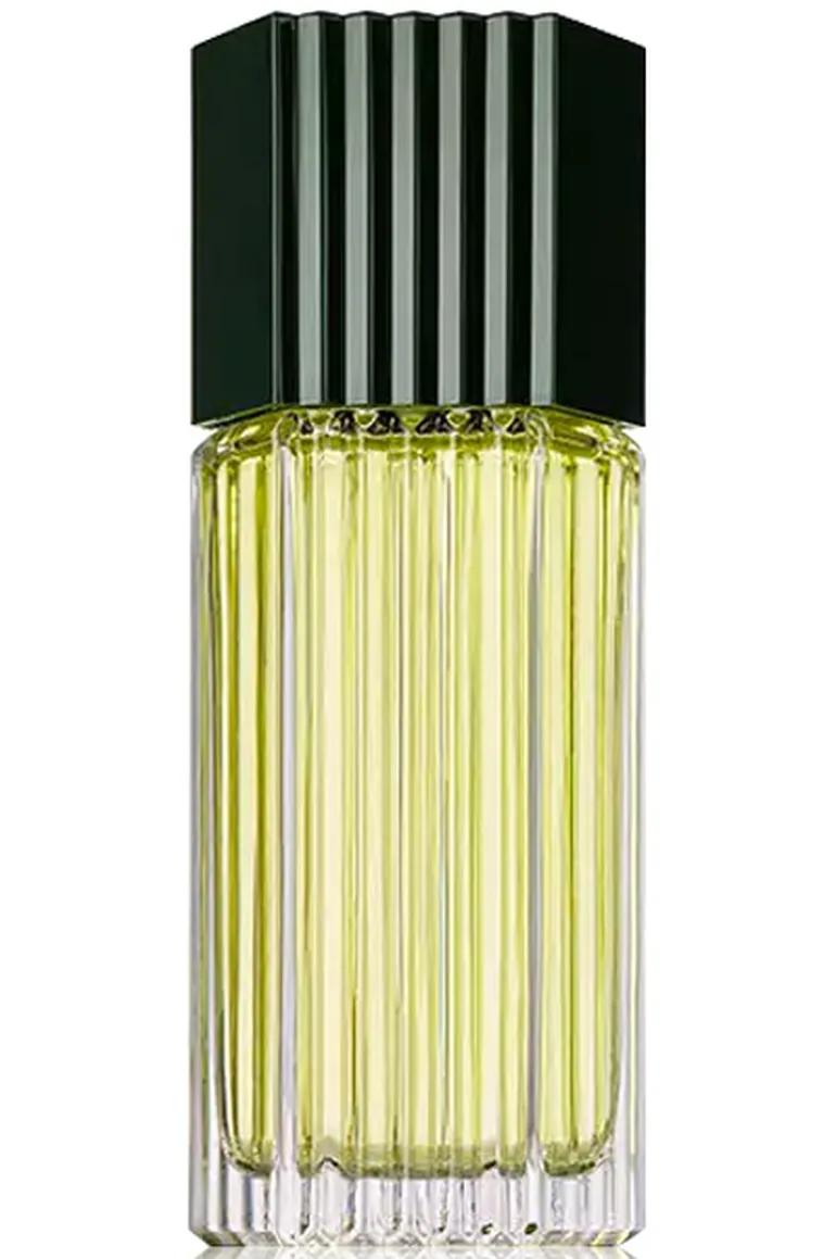 عطر استي لودر رجالي - 100 مل