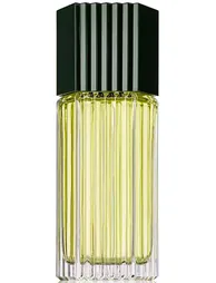 عطر استي لودر رجالي - 100 مل