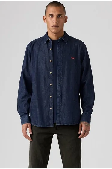 Battery Housemark Long Sleeve Shirt