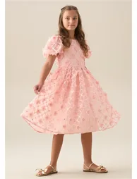 Francine Pink Embellished Puff Sleeve Dress