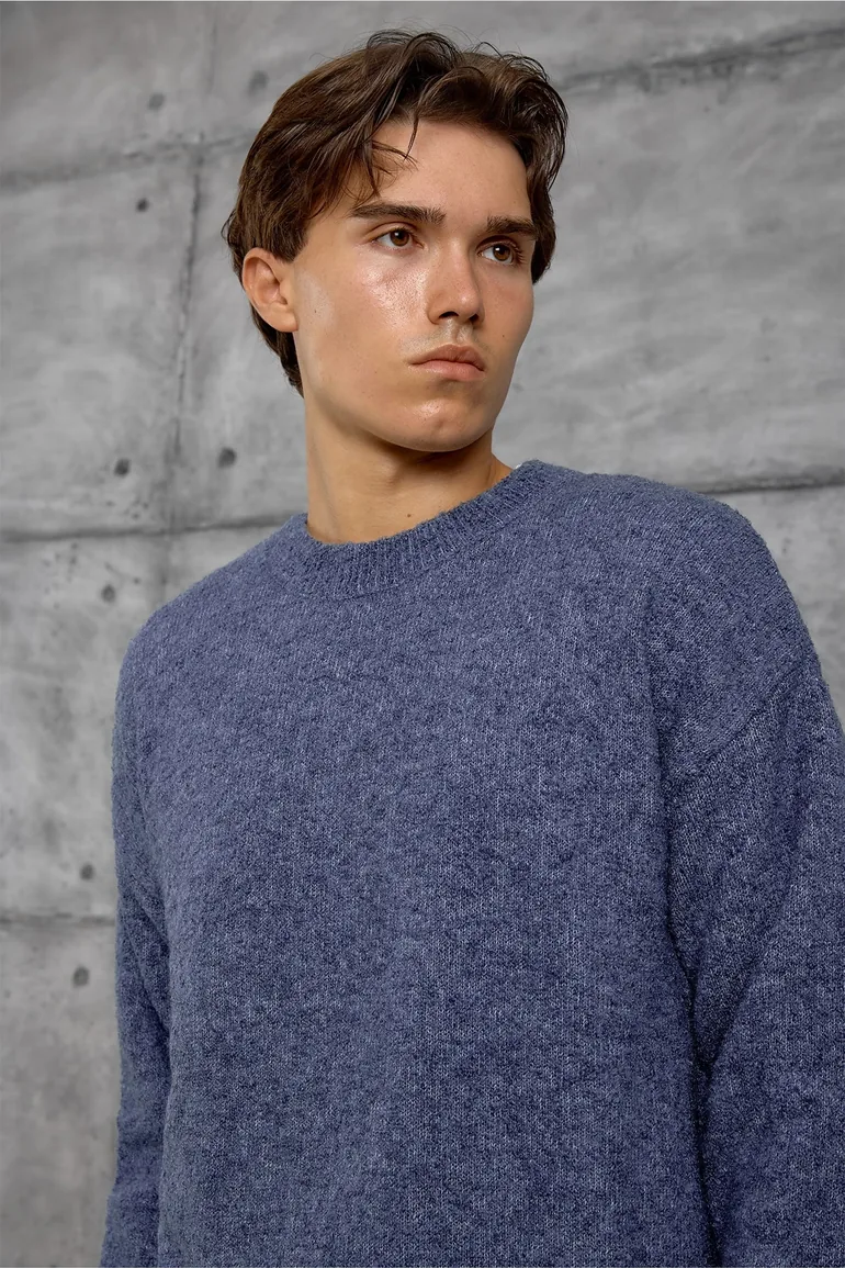 NOMARC Regular Fit Crew Neck Sweater - 3