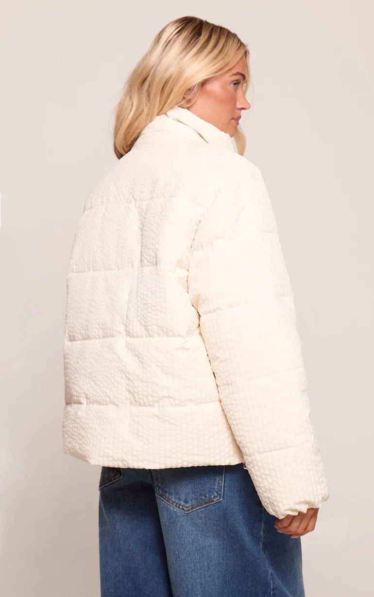 Printed Concealed Placket Funnel Jacket - 1