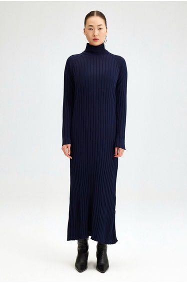 TURTLE NECK RIBBED KNIT DRESS