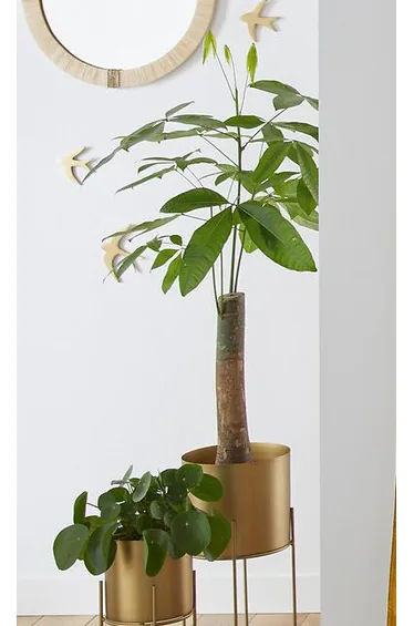 ستارة قطن مخمل حرارية بشريط مخفي