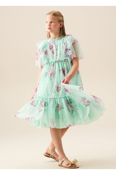 Rosa Mint Floral Mesh Dress